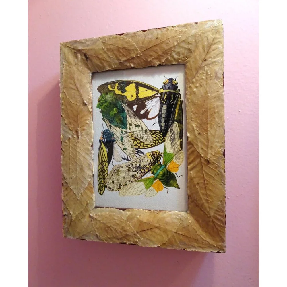 Vintage Art Print of Cicadas in Frame with Real Leaves goth witchy nature insect